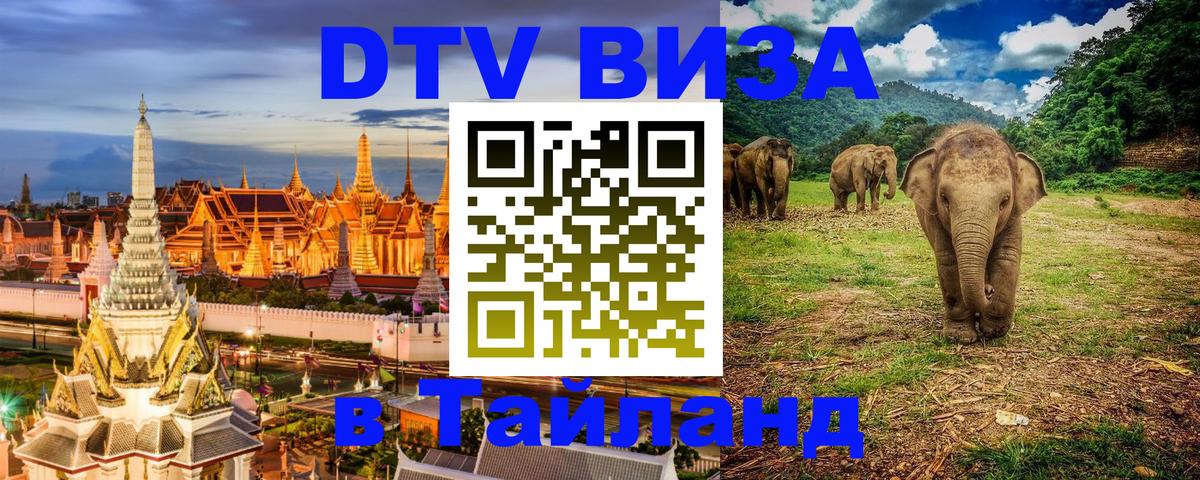 Оформление DTV визы под ключ: стоимость и тарифы, только загранпаспорт - Керчь  04.10.2025 